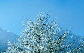 网页在线DDOS压力测试